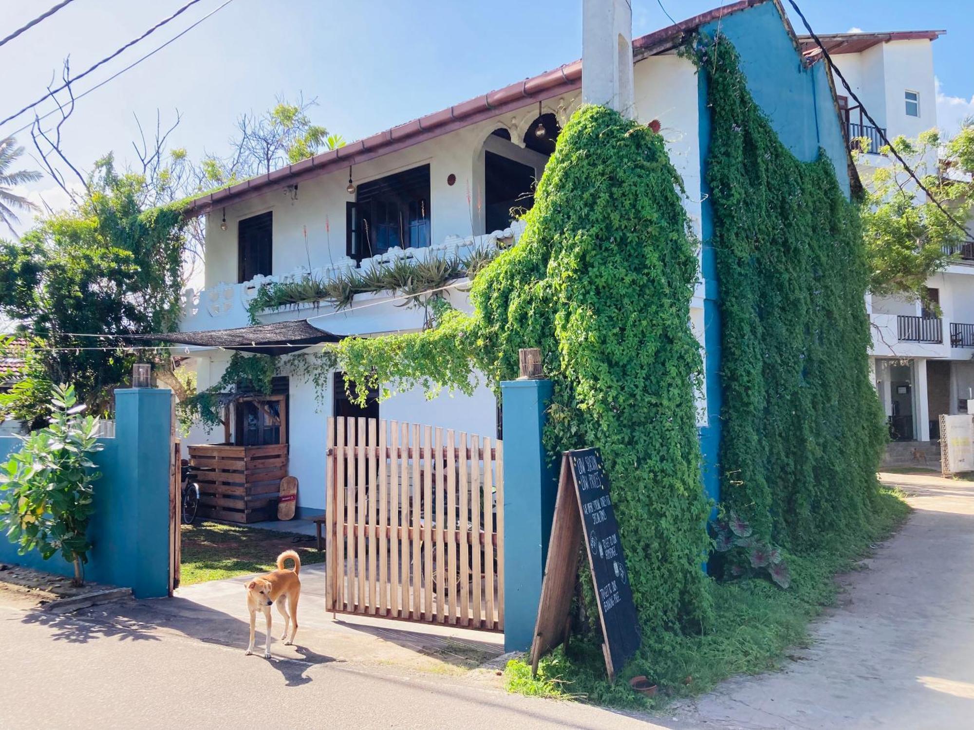 Just Another Guesthouse Polhena 외부 사진